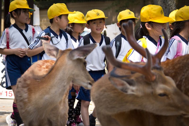 Nara - thành phố thân thiện với trẻ em
