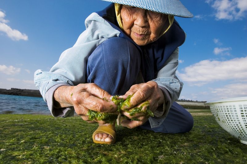 Một cư dân 86 tuổi ở Okinawa