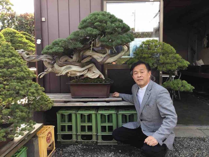 masahiko kimura bậc thầy Bonsai Nhật Bản
