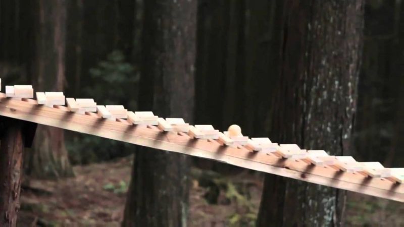 đàn Xylophone khổng lồ chơi nhạc Bach trong khu rừng Nhật