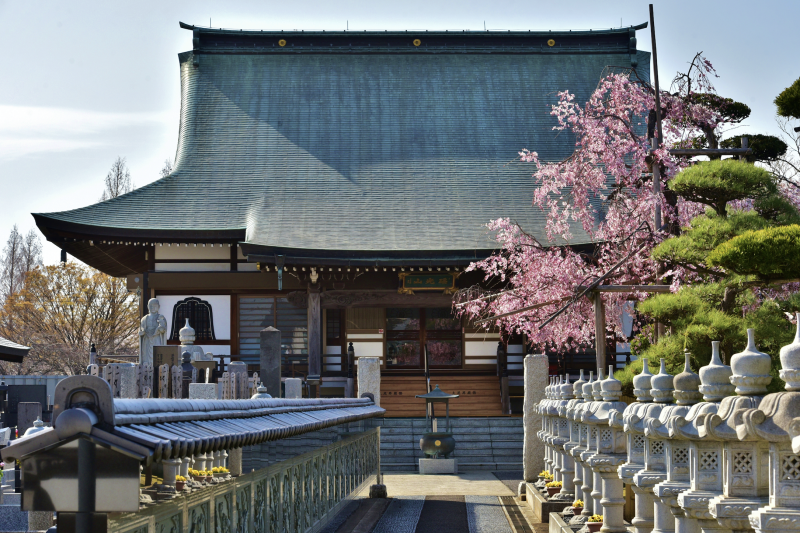 ngôi chùa đầu tiên tại Saitama tổ chức đám cưới đồng tính