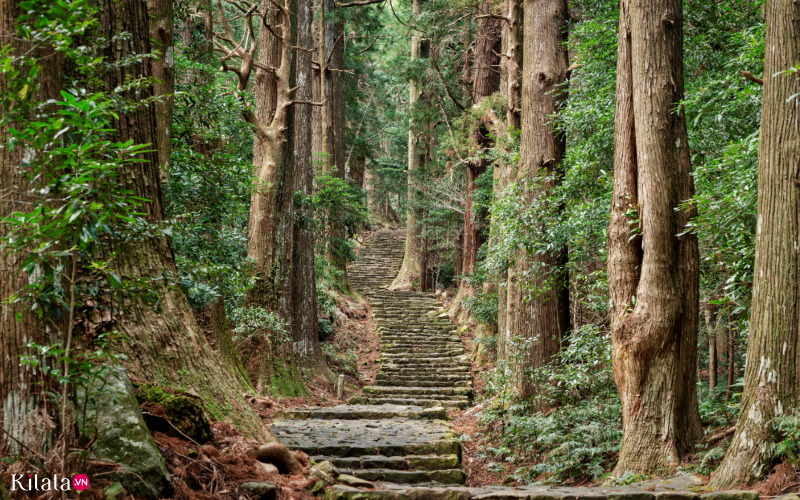 kumano kodo di sản văn hóa linh thiêng trên núi Kii