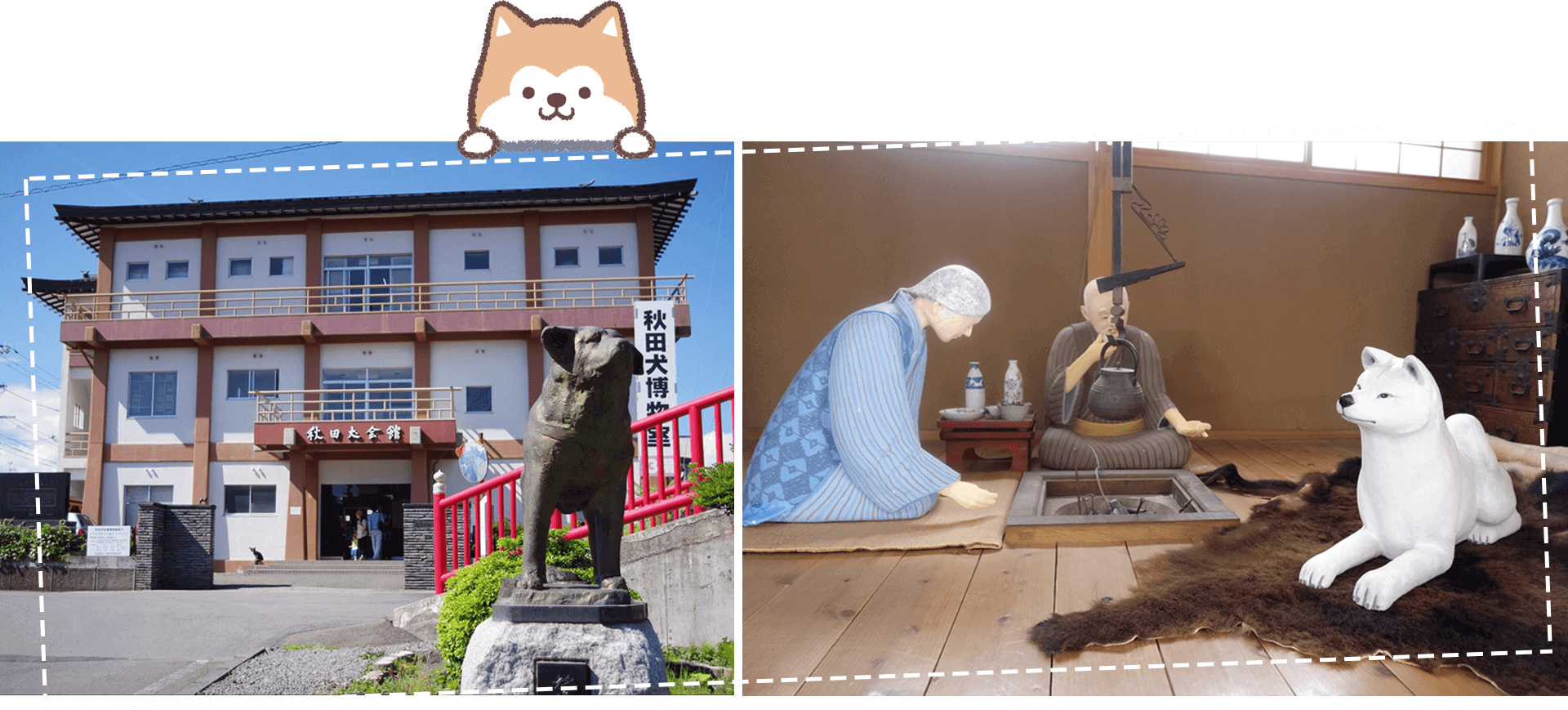 Bảo tàng chó Akita