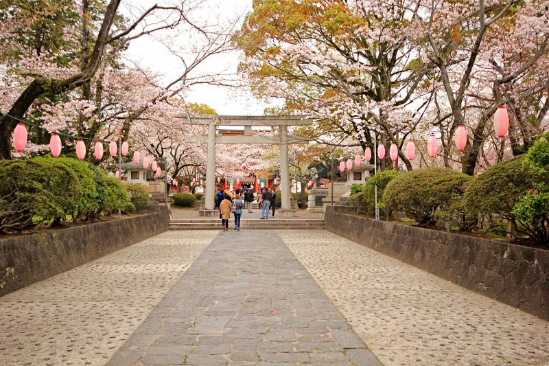 Ngôi đền Phú Sĩ mang vẻ đẹp vào tháng 4