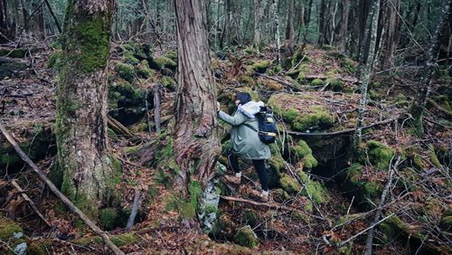 rừng tự sát Aokigahara