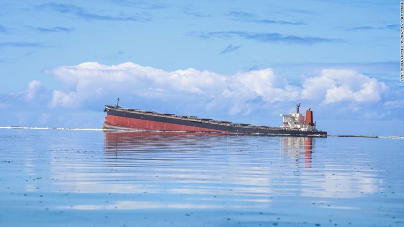 tàu chở hàng Nhật rò rỉ dầu đe dọa sinh vật biển