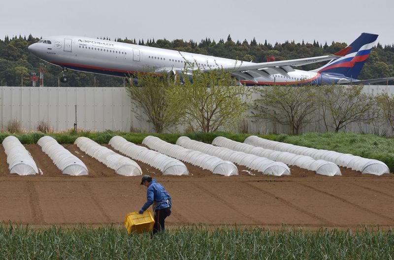cánh đồng rau của lão nông ngay giữa sân bay Narita