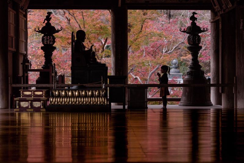 bộ ảnh xúc động về cô con gái ở chùa Hasedera của nhiếp ảnh gia người Nhật