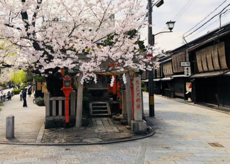 geisha tại Kyoto chống chọi với dịch COVID-19 như thế nào