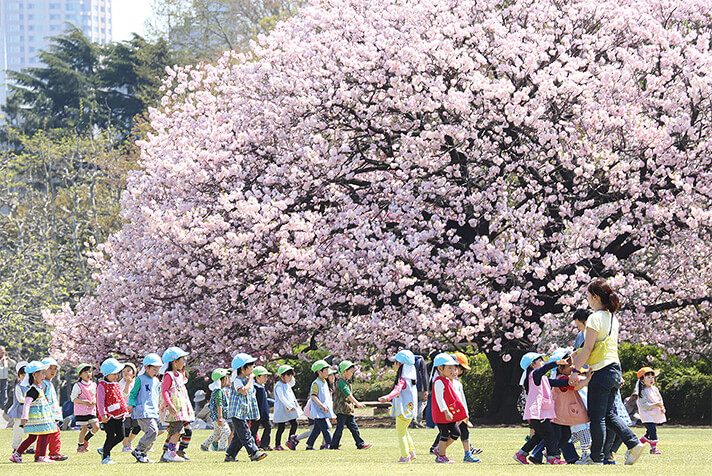 Vườn Quốc Gia Shinjuku Gyoen