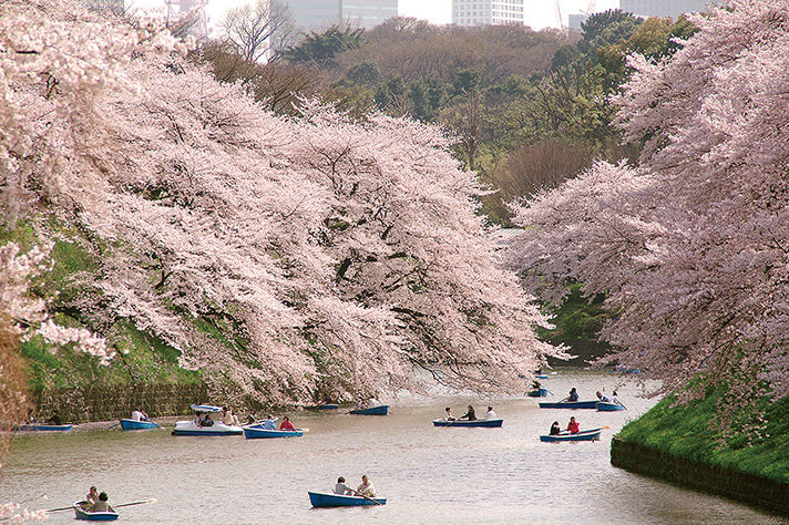 Công viên Chidorigafuchi