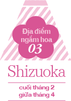 Shizuoka