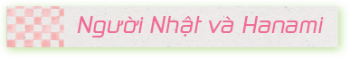 Người Nhật và Hanami