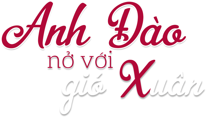 Chuyên để Hoa Anh Đào