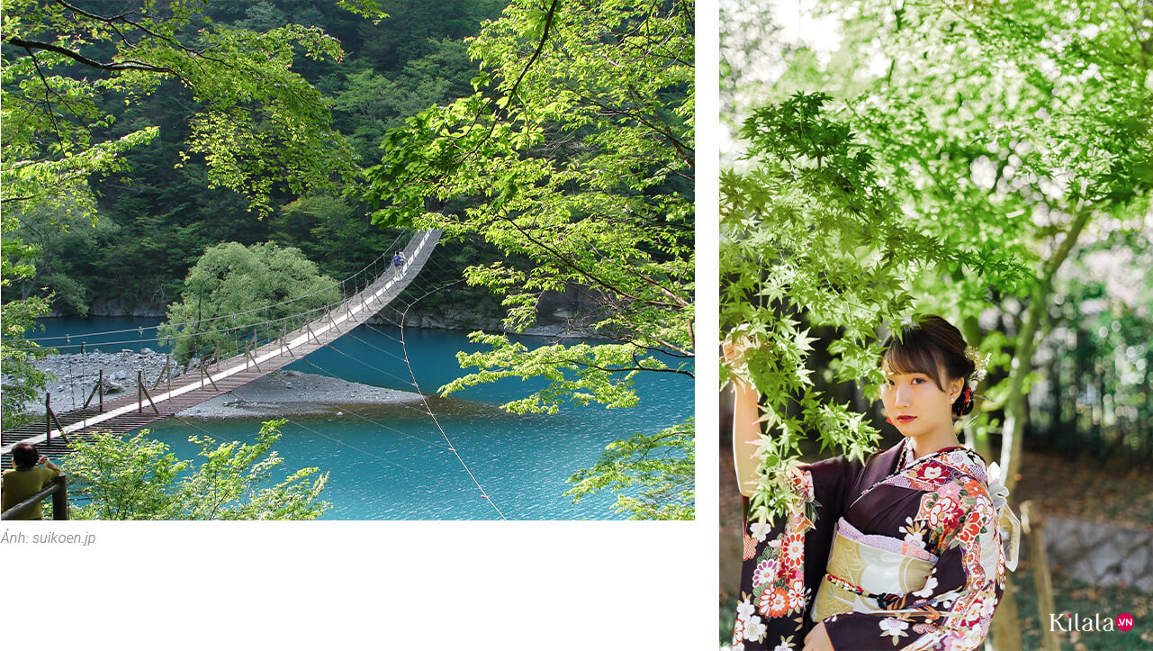 Địa chỉ: Kawanehon, Haibara, tỉnh Shizuoka